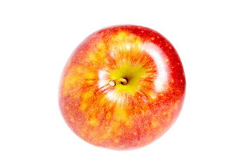 Ripe fresh red apple with water drops , isolated on white background