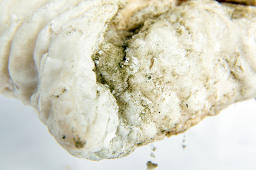 Dangerous food. Old spoiled cookie covered with green mold. Selective focus