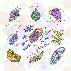 Virus vector bacterial infection virus-like illness illustration virulent bacterium set of microbiology organisms microbe or unicellular bacteria isolated on white background