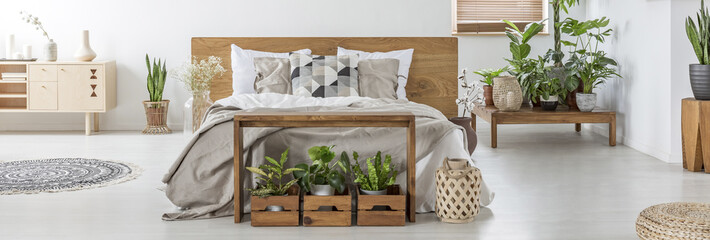 Many fresh plants in real photo of bright bedroom interior with king-size bed with grey bedding