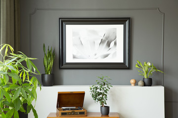 Poster on grey wall above record player and plants in retro living room interior. Real photo