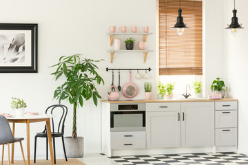 Pink accessories in grey kitchen interior with plant next to chairs and dining table. Real photo - obrazy, fototapety, plakaty