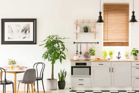 Plants next to chairs and table in grey kitchen interior with pi