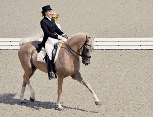 Young elegant rider woman and isabelline horse. Beautiful girl at advanced dressage test on...