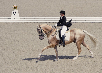 Young elegant rider woman and isabelline horse. Beautiful girl at advanced dressage test on...