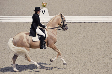Young elegant rider woman and isabelline horse. Beautiful girl at advanced dressage test on...