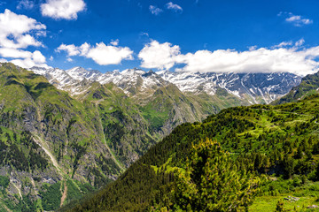 Obraz premium Scenic view of beautiful landscape in Swiss Alps. Fresh green meadows and snow-capped mountain tops in the background in springtime, Switzerland.