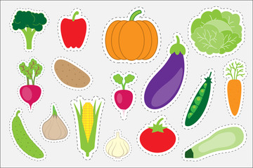 Different colorful vegetables for children, fun education game for kids, preschool activity, set of stickers, vector illustration