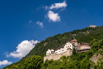 Obraz premium Vaduz castle in the capital of Liechtenstein