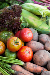 Seasonal vegetables harvest, autumn fresh diet food. Organic detox plant.
