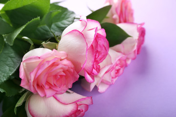 Beautiful roses on color table, closeup