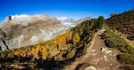 hiking in the swiss alps