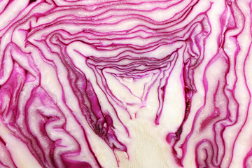 Obraz premium Texture of cut red cabbage, closeup