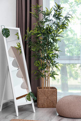 Big stylish mirror in interior of room