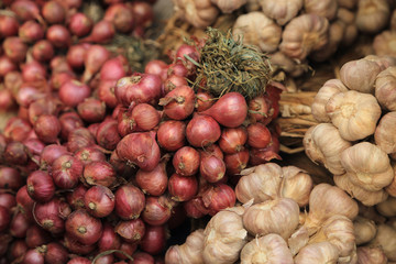 Bunch of Shallot or asia red onion and garlic.