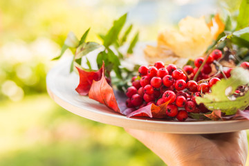 Autumn still life. Rowan, viburnum, apples. Fruits and berries on a wooden plate. background of autumn leaves.Red berries and yellow autumn leaves. Fall season composition.Copy space