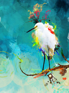 Beautiful white bird with teal background painted