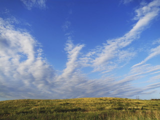 Fototapeta premium Blue sky and meadow. Summer background. Nature background.