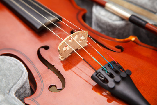 violin lying in a case closeup