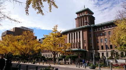港町の庁舎とイチョウ並木