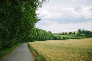 road between beautiful green forest and field in Wurzburg, Germany