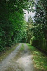 road near fence and green trees in Wurzburg, Germany