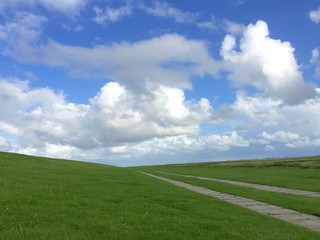 Foothpath in grassy landscape with blue sky Germany
