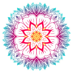 Multicolor mandala with flower and plant motifs