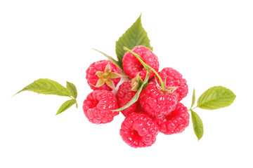 Sweet Raspberry with leaves isolated on white background.