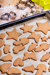 Preparing gingerbread cookies for Christmas. Various cookie shapes