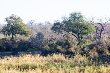 A lookout point near Skukuza in the Kruger park, South Africa.