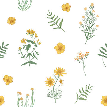 Beautiful floral pattern with wild blooming flowers and meadow flowering herbs on white background
