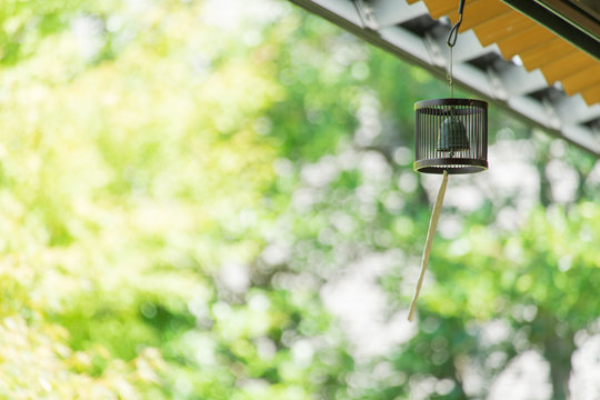 風鈴　Wind chime