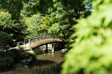 京都御苑  Kyoto Gyoen National Garden