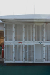Empty cages to transport dogs on a boat