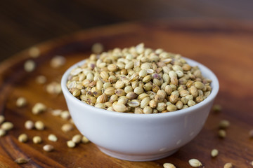 Coriander seeds spice