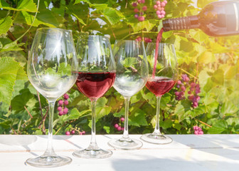 Pouring red wine into the glass. Four glasses of red wine on a white wooden table against a vineyard background in the sunlight. The concept of the festival of wine, wine tasting