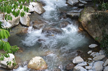 Kinabalu Park is a world heritage site located in Kundasang Sabah
