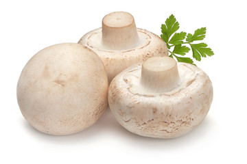 Champignons, close-up, isolated on white background.