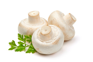 Champignons, close-up, isolated on white background.