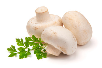 Champignons, close-up, isolated on white background.