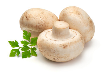 Champignons, close-up, isolated on white background.