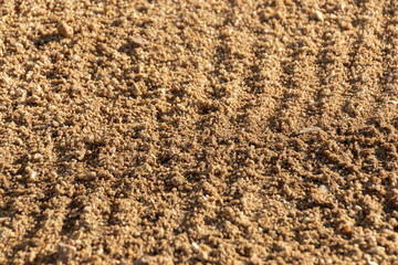 Raked Sand