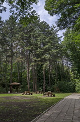 Wooden bench, alcove and table on a meadow in the forest at natural old West park, Sofia, Bulgaria 