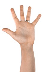 Raised Hand / Five Fingers