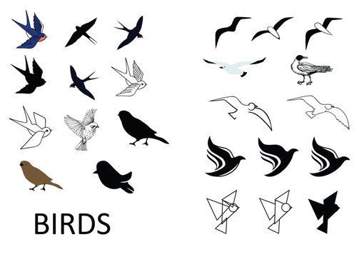 Set of vector birds