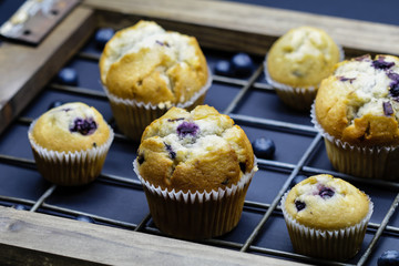 Obraz na płótnie Canvas Blueberry Muffins