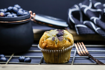 Blueberry Muffins