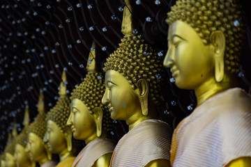 Fototapeta premium Lord Buddha Statues