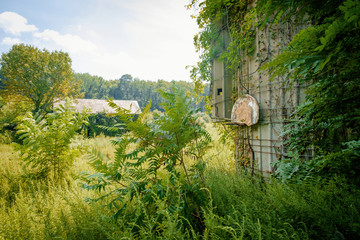 Abandoned Basketball Hoop